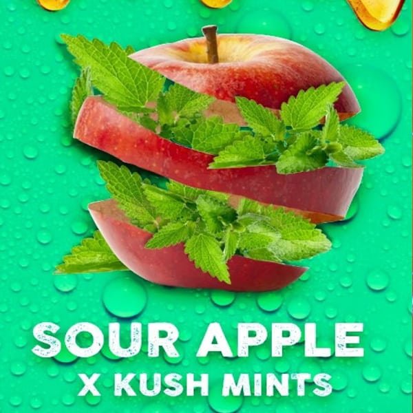 Apple Mints 5 u. fem. Tramuntana Seeds