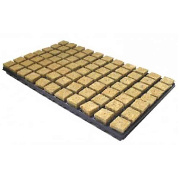 Bandeja Lana Roca 25 x 25 x 40 mm. 150 Alveolos