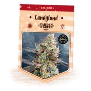 Candyland  3 u. fem. Garden of Green Seeds
