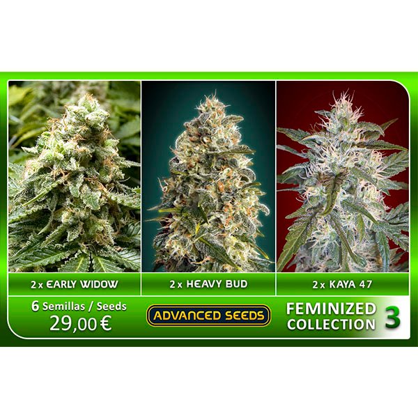 Feminized Collection #3 Advanced Seeds