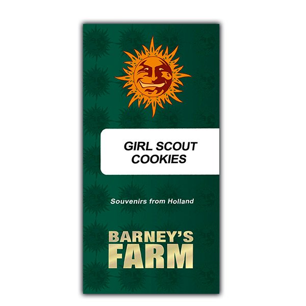 Girl Scout Cookies  3 u. fem. Barney's