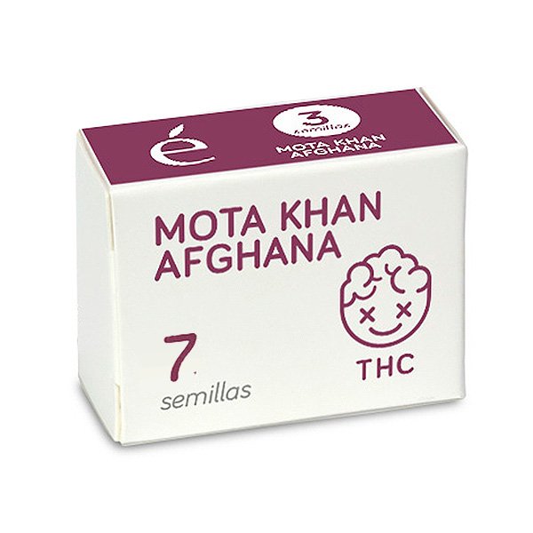 Mota Khan Afghana 7 u. fem. Elite Seeds