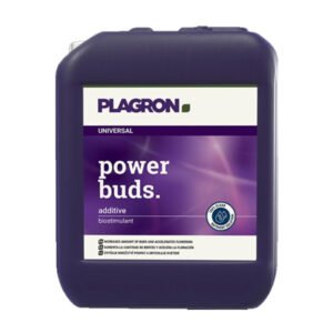 Power Buds 10 Lt. Plagron