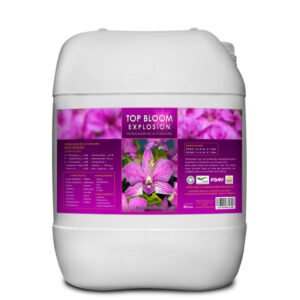 Top Bloom Explosion 20 Lt . Kayasolutions