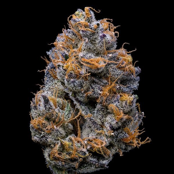 Velvet Cream 3 u. fem Cookies Seed Bank