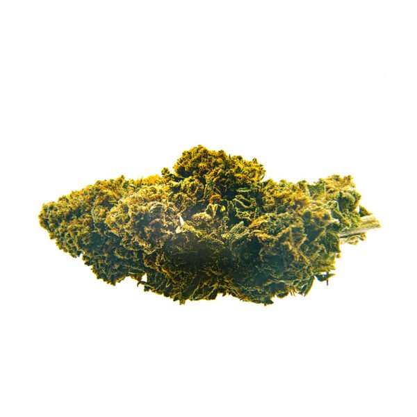 CBD Bee  Amnesia 10 gr. - Imagen 2