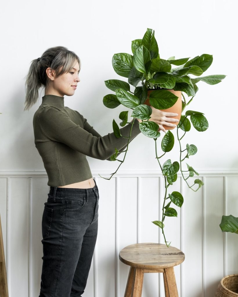 happy-woman-carrying-a-houseplant.jpg happy-woman-carrying-a-houseplant.jpg